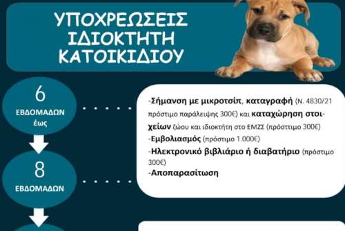 εικόνα άρθρου