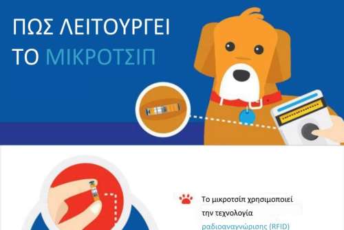 εικόνα άρθρου