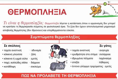 εικόνα άρθρου