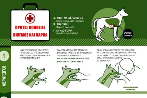 εικόνα άρθρου