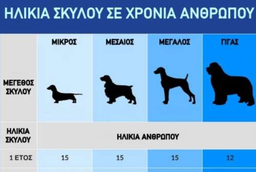 εικόνα άρθρου