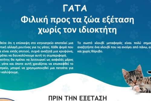 εικόνα άρθρου