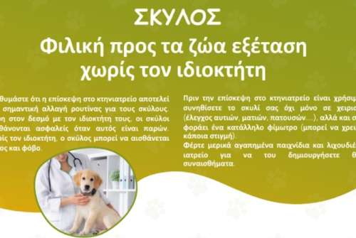 εικόνα άρθρου