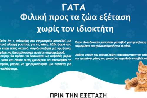 εικόνα άρθρου