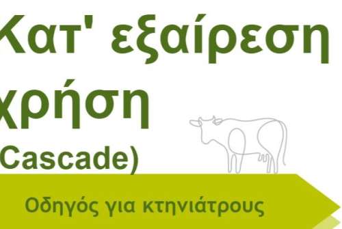 εικόνα άρθρου