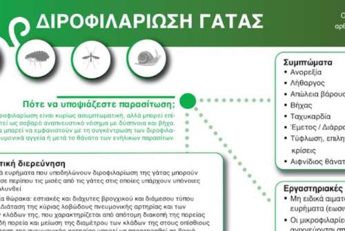 εικόνα άρθρου