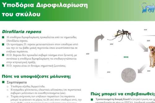 εικόνα άρθρου