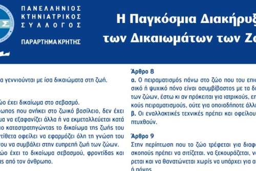 εικόνα άρθρου