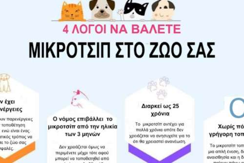 εικόνα άρθρου