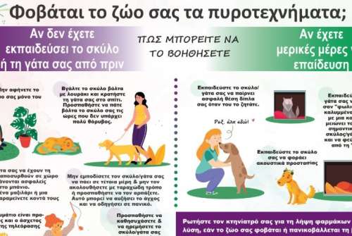 εικόνα άρθρου