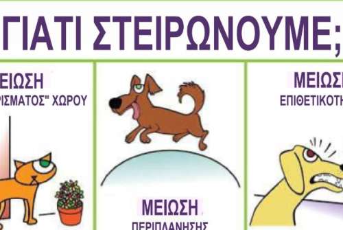 εικόνα άρθρου