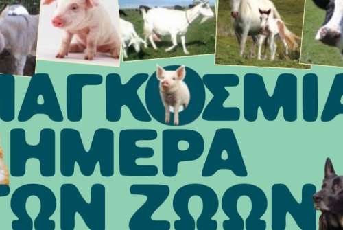 εικόνα άρθρου