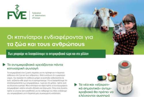 εικόνα άρθρου