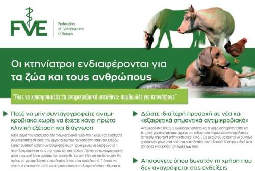 εικόνα άρθρου