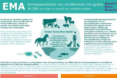 εικόνα άρθρου