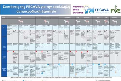 εικόνα άρθρου