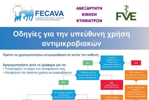 εικόνα άρθρου