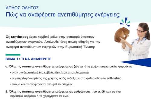 εικόνα άρθρου