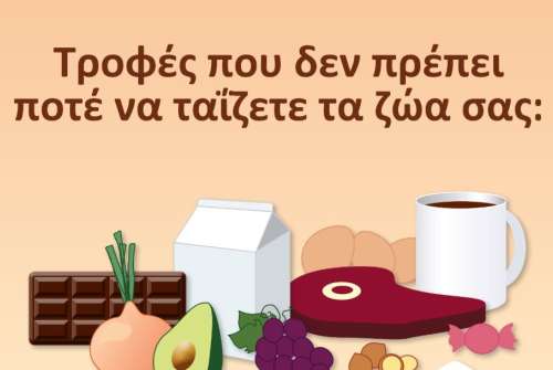 εικόνα άρθρου