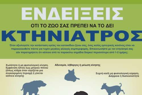 εικόνα άρθρου