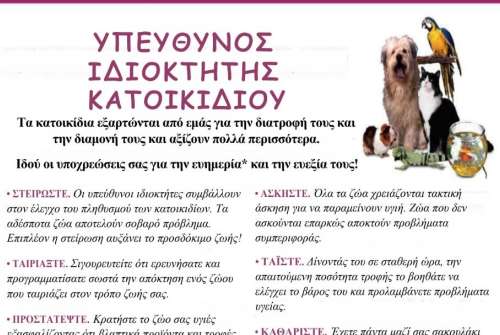 εικόνα άρθρου