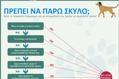 εικόνα άρθρου