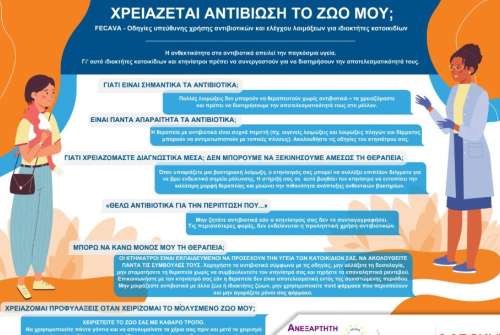 εικόνα άρθρου