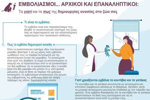 εικόνα άρθρου