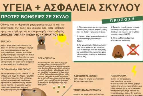 εικόνα άρθρου