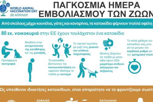 εικόνα άρθρου