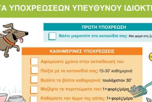 εικόνα άρθρου