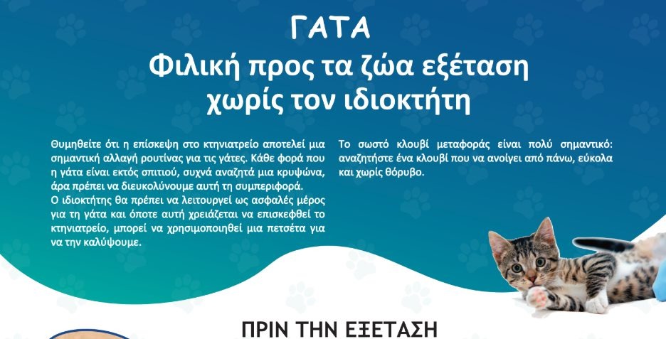 εικόνα άρθρου