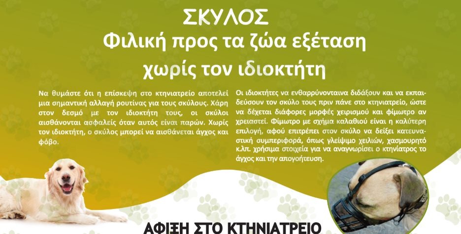 εικόνα άρθρου