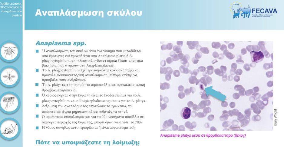 εικόνα άρθρου