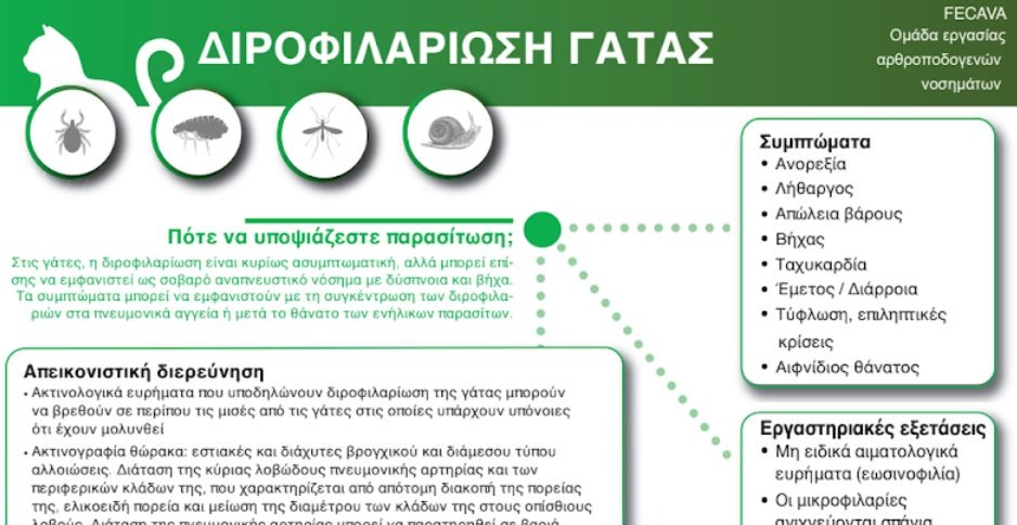 εικόνα άρθρου