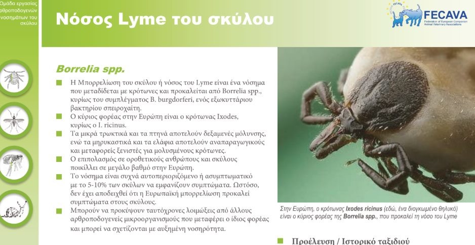 εικόνα άρθρου