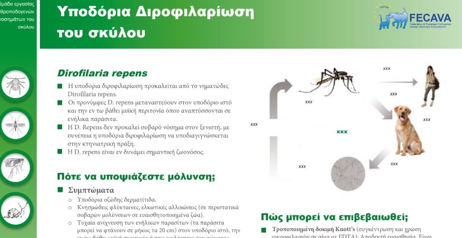 εικόνα άρθρου