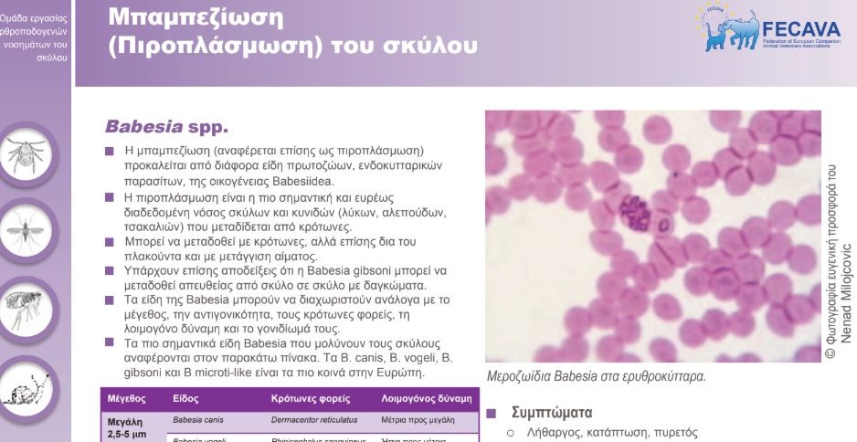 εικόνα άρθρου