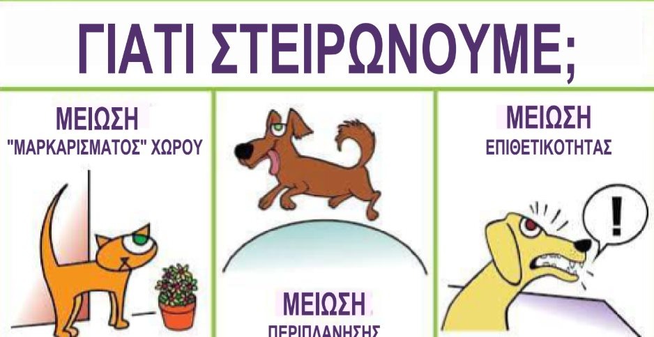 εικόνα άρθρου