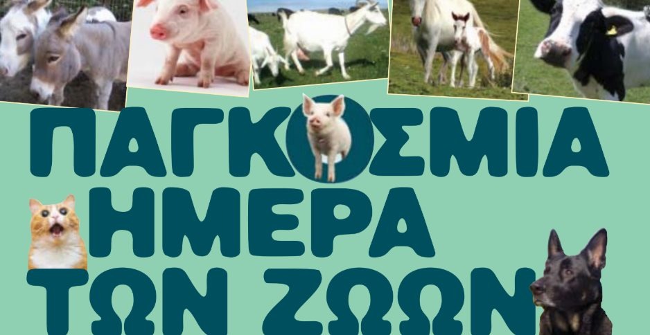 εικόνα άρθρου