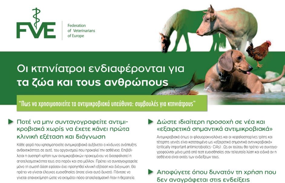 εικόνα άρθρου