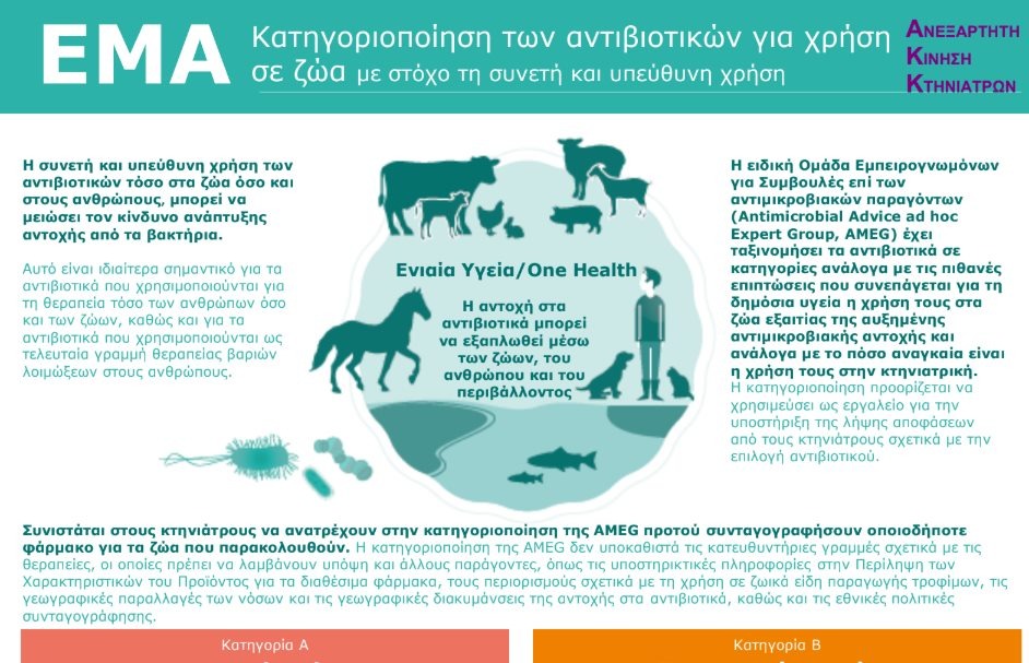 εικόνα άρθρου