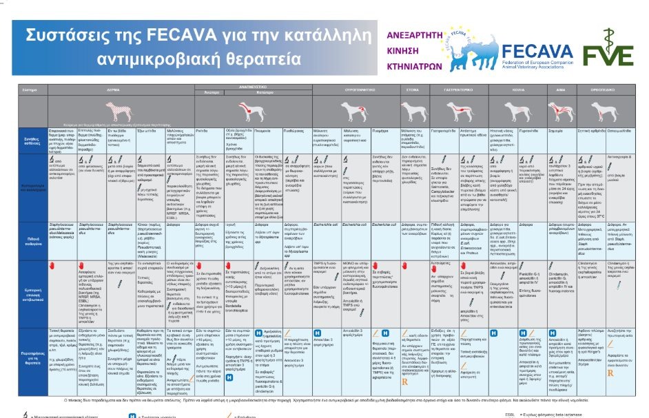 εικόνα άρθρου