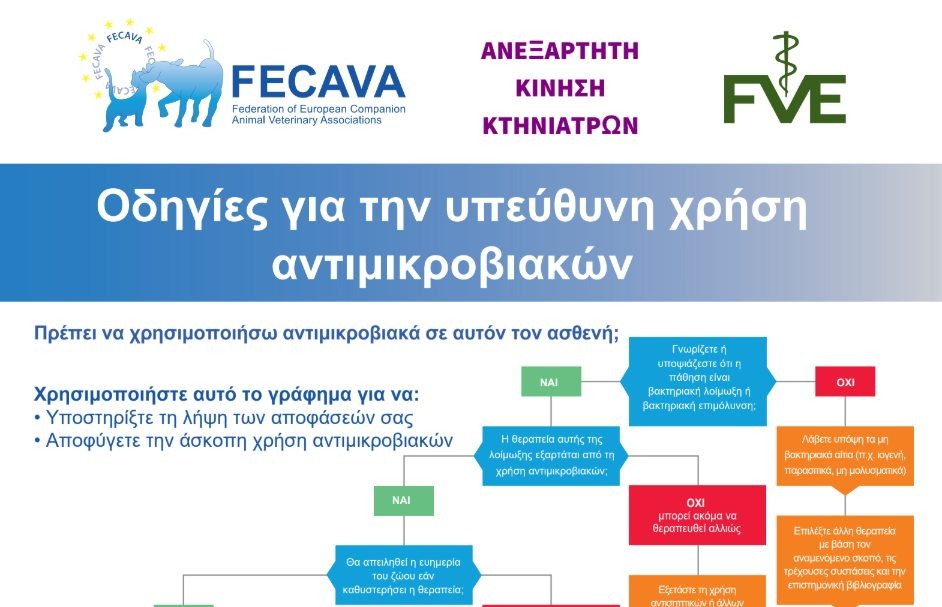 εικόνα άρθρου