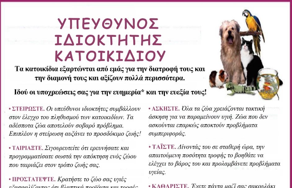 εικόνα άρθρου
