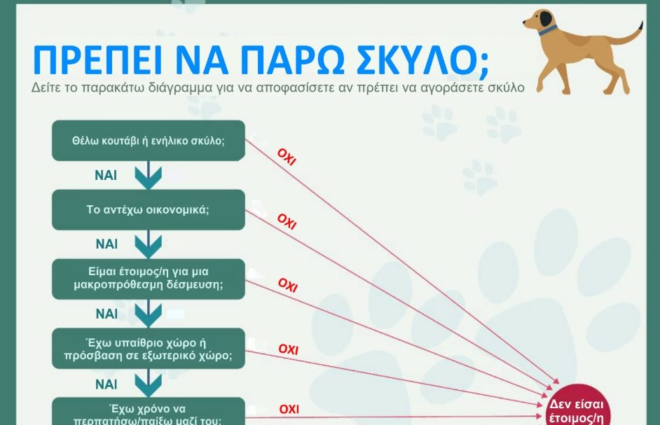 εικόνα άρθρου