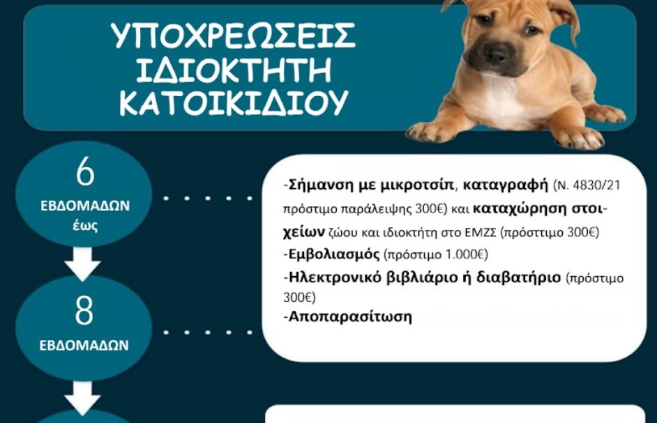 εικόνα άρθρου