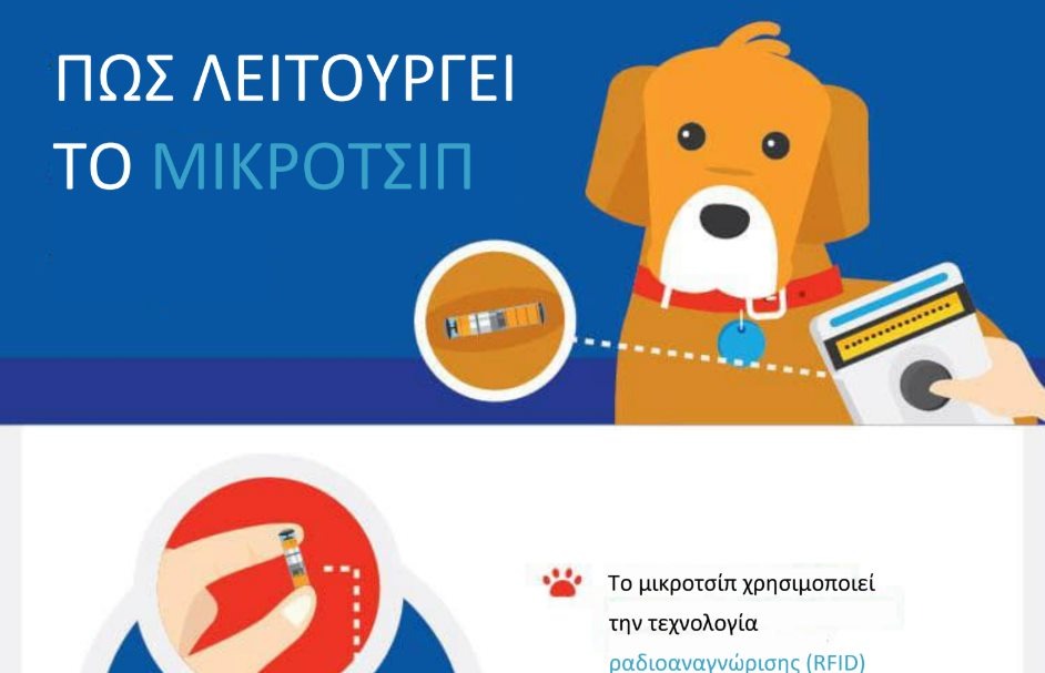 εικόνα άρθρου