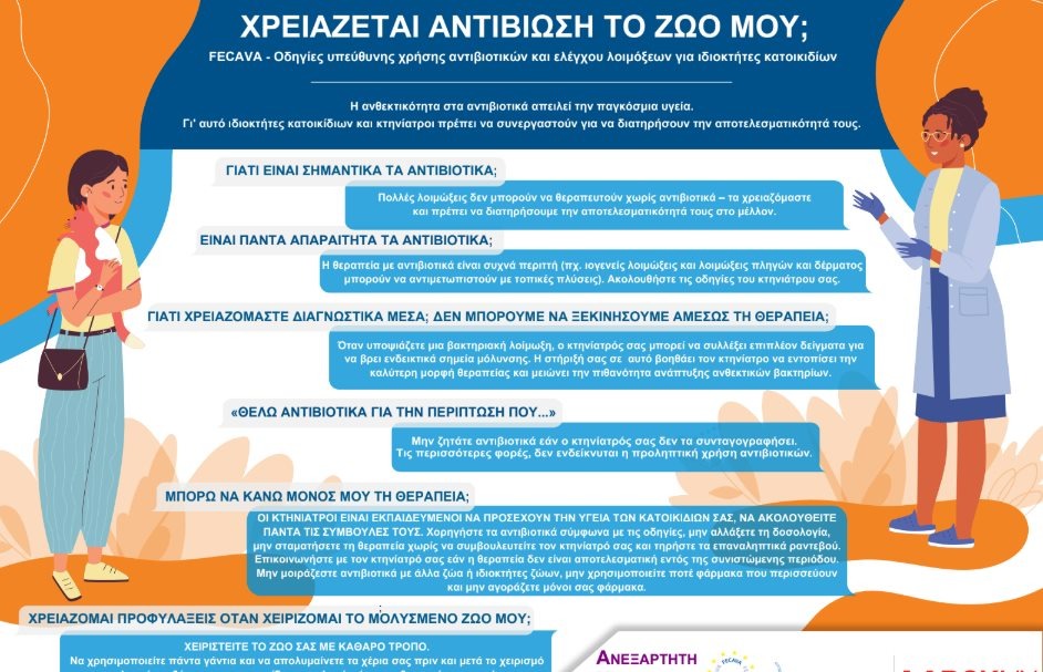 εικόνα άρθρου