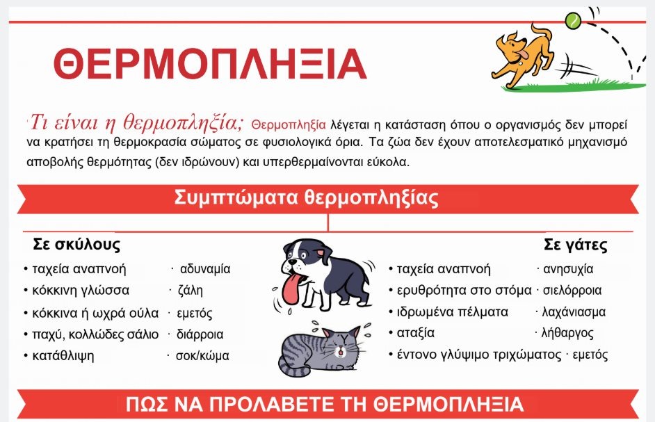 εικόνα άρθρου